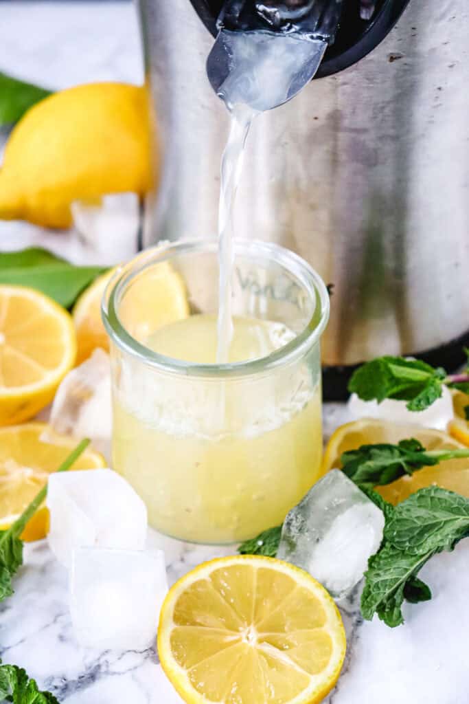 Lemon Mint Mojito Concentrate