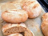 Moroccan Whole Wheat Bread Rolls (Khobz Dar)